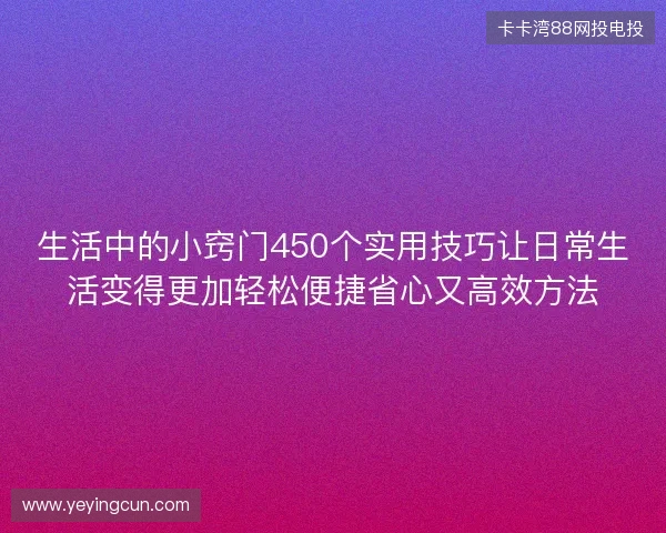 生活中的小窍门450个实用技巧让日常生活变得更加轻松便捷省心又高效方法 生活中的小窍门450个实用技巧让日常生活变得更加轻松便捷省心又高效方法